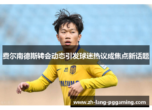 费尔南德斯转会动态引发球迷热议成焦点新话题