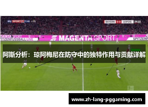 阿斯分析：琼阿梅尼在防守中的独特作用与贡献详解