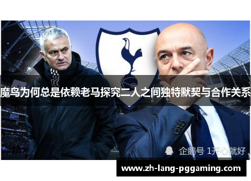 魔鸟为何总是依赖老马探究二人之间独特默契与合作关系