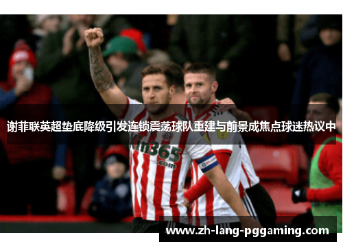 谢菲联英超垫底降级引发连锁震荡球队重建与前景成焦点球迷热议中
