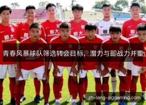 青春风暴球队筛选转会目标，潜力与即战力并重
