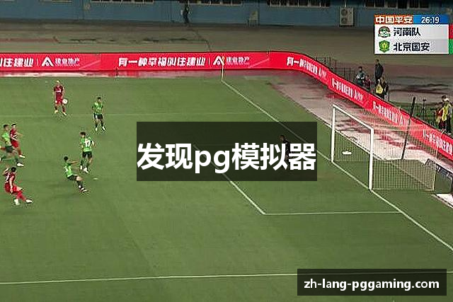 发现pg模拟器